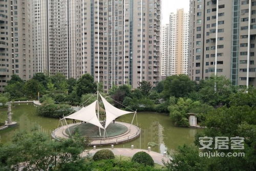 合肥滨湖房产怎么摇号