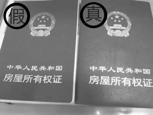 假房产证怎么制作