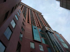 临清鸿基房产怎么样