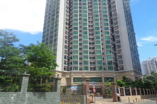 轩欣房产怎么样