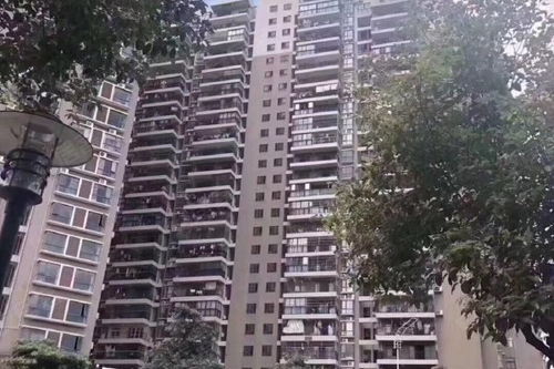 轩欣房产怎么样