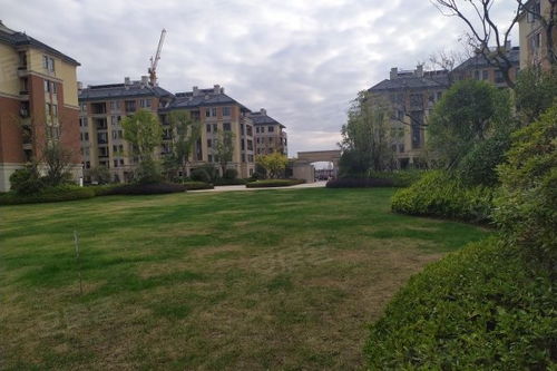 万阳房产怎么样