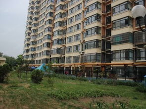 贵州衡水房产怎么样