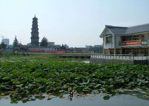 阜阳知府房产怎么样