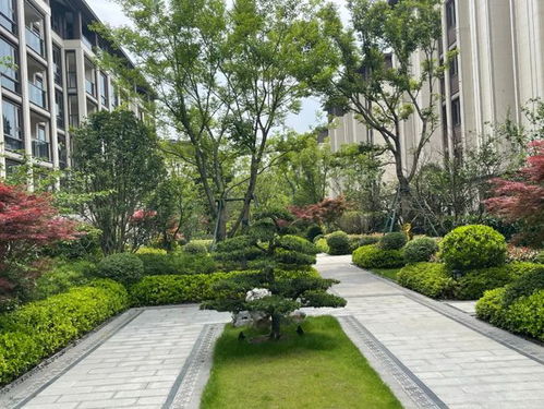 洋房产品怎么拍视频