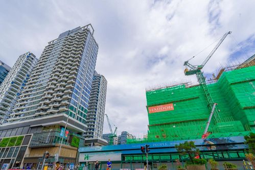 港岛投资房产怎么样 港岛投资房产怎么样
