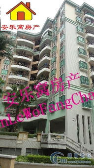 中山老王房产怎么样