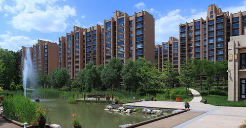 苏服办怎么解押房产