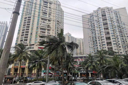 建水世贸房产怎么样