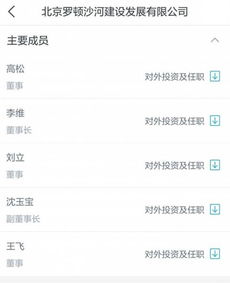 故意拍卖房产怎么处理