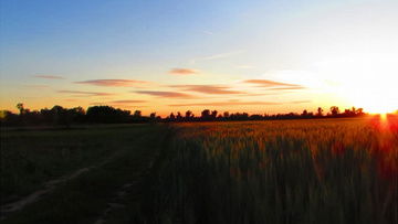 金色麦田房产视频怎么拍