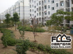 盘锦恋家房产怎么样