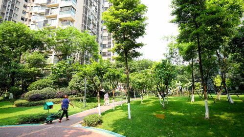 小区房产绿化文案怎么写