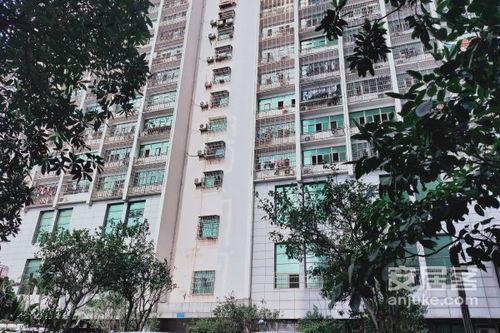 宁强华林房产怎么样