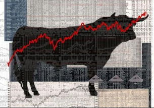 富人房产太多怎么管理的