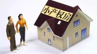 买小产权房产怎么公证