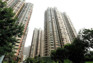 济南大可房产怎么样 济南大可房产怎么样