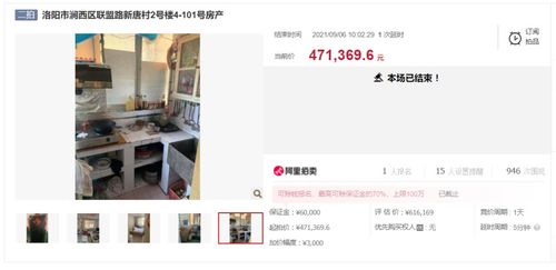 怎么查询房产拍卖成功没 怎么查询房产拍卖成功没