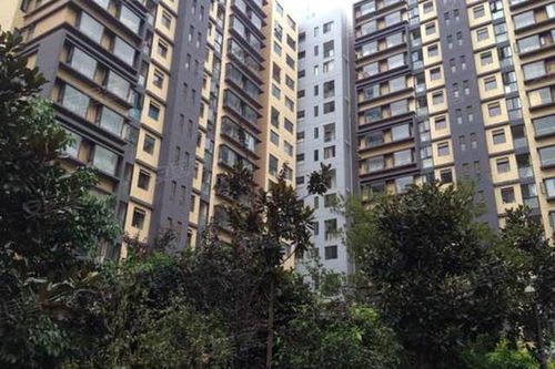 星芮房产怎么样