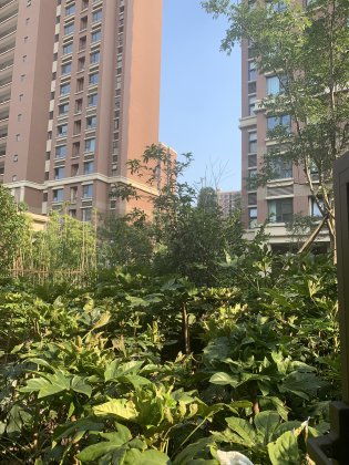 苏州房产怎么干