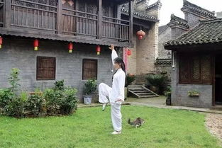 老宅没房产怎么办 老宅没房产怎么办