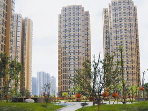 房产开发购房怎么验房