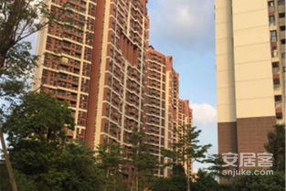 珠江房产质量怎么样