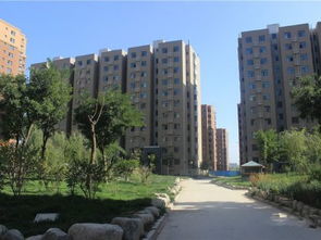 鲁与房产怎么样