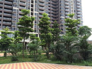 居宝王房产怎么样