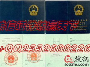 怎么查询房产经纪人证