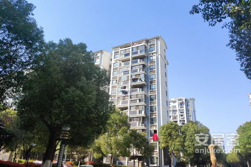 善景房产怎么样