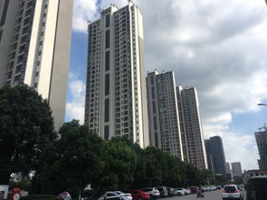 金科房产 怎么样