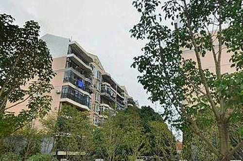 安佳房产怎么样