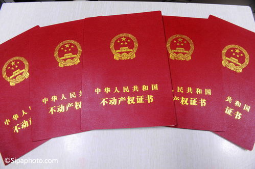 房产证 其它 怎么翻译