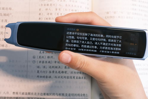 房产证 其它 怎么翻译