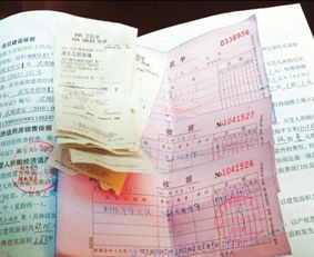 房产证 其它 怎么翻译