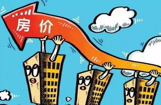 房产达人买房卖房怎么玩