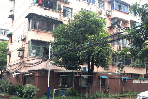 崂山实景房产怎么样