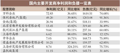 企业负债怎么拍卖房产