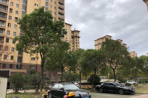 中山小猪房产怎么样