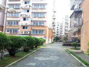 白沙房产装修怎么样