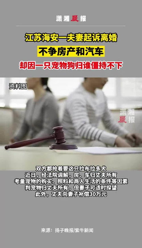 夫妻争房产案件怎么起诉