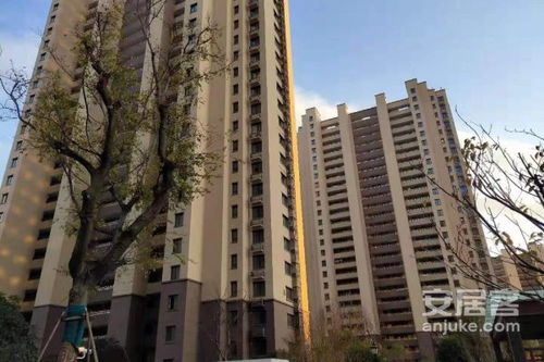 凤冈星辰房产怎么样