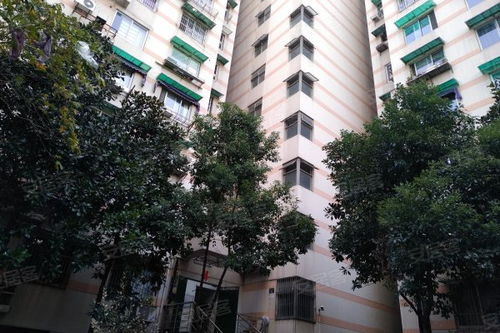 京都房产托管怎么样