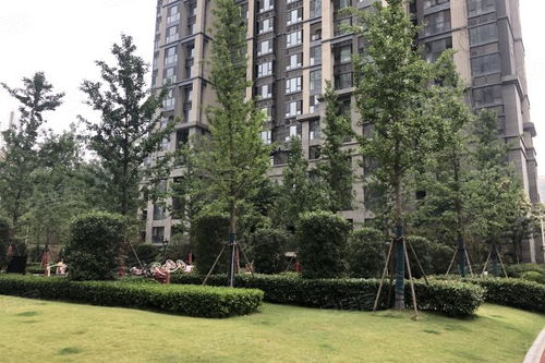 启福房产怎么样