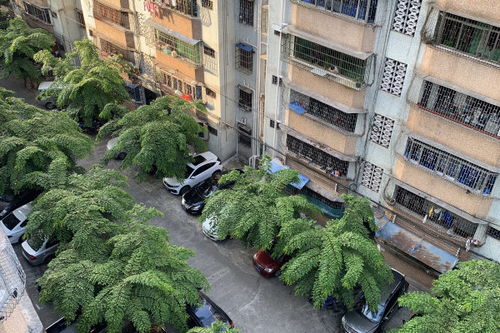 糖厂房产怎么样