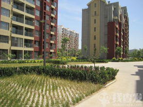 龙口房产投资怎么样