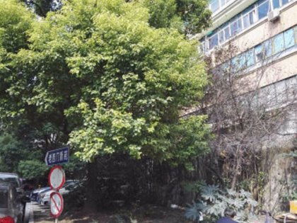 惠达房产怎么样