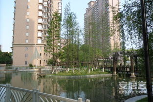 辽宁宝地房产怎么样