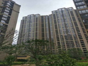 新恒房产怎么样